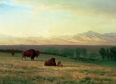 Buffalo on the Plains Albert Bierstadt